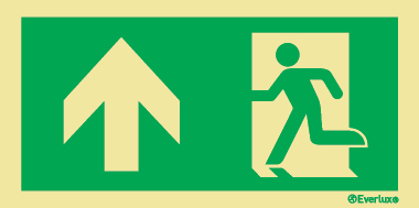 Progress forward - Emergency Exit Route Location and Identification Sign