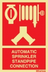 Automatic Sprinkler/ Standpipe Connection